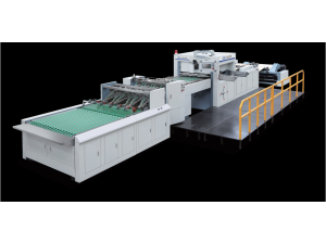 Full Stripping Roll Die Cutting Machine