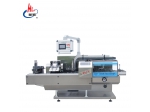 DXH-120W Automatic carton packing machine
