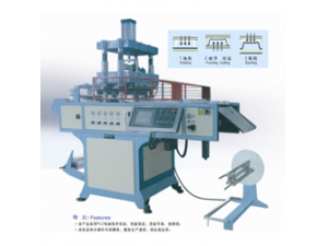 Fully Automatic Plastic Thermoforming Machine (BOPS)