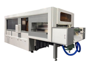 Automatic Roll Fed Die Cutting Machine with Stripping Station